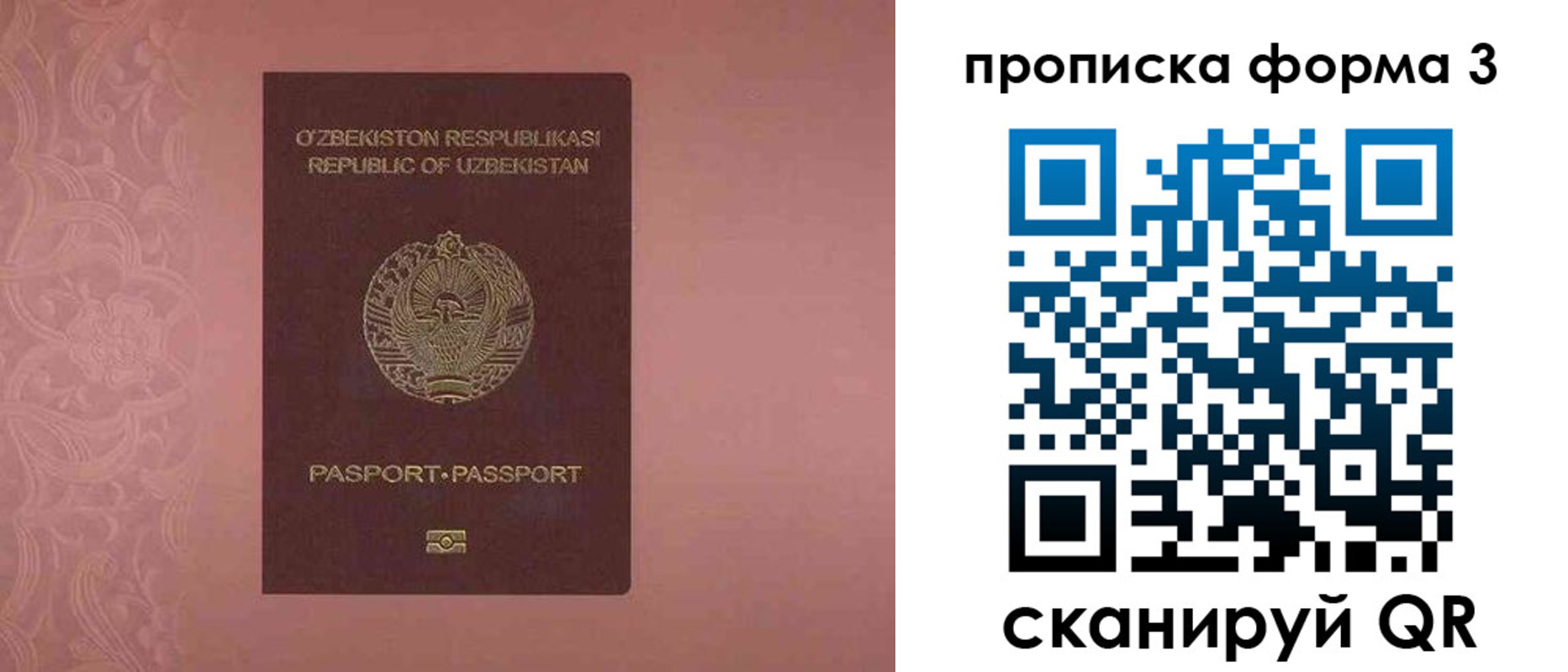 регистрация в Брянской области